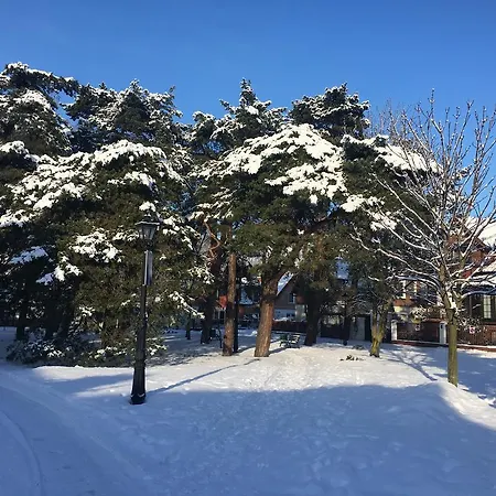 Apartmán House - Przy Plazy